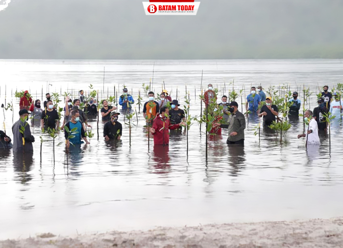 Presiden RI, Joko Widodo saat menanam mangrove di pulau Setokok, Batam